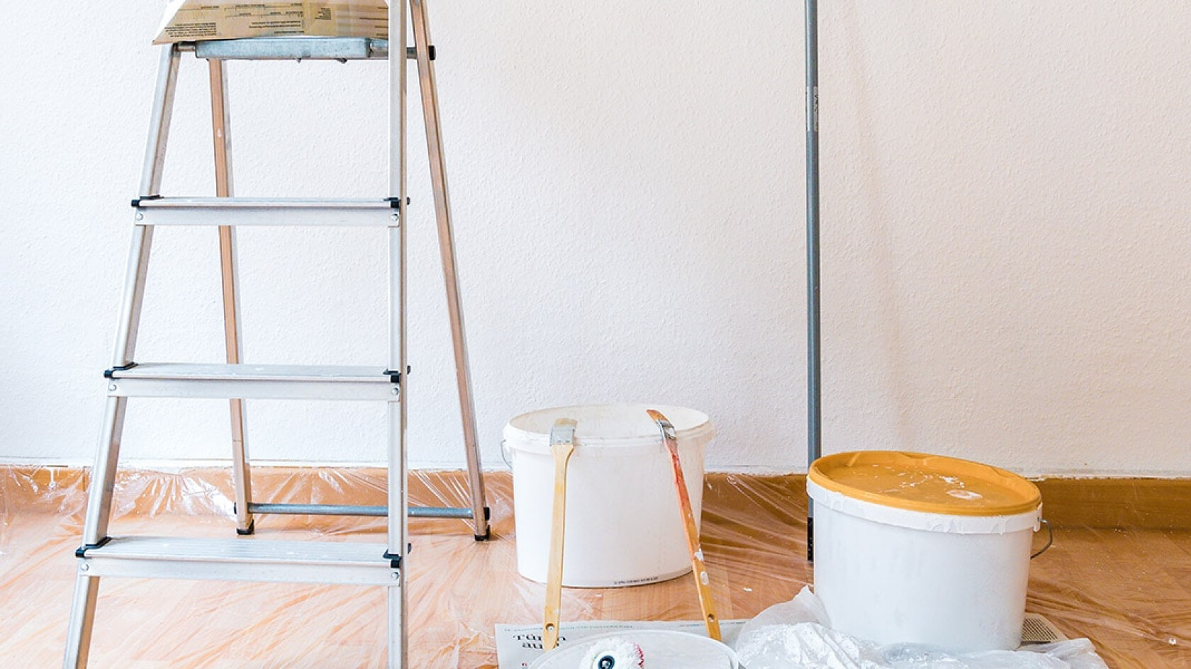 © Mattoff – stock.adobe.com