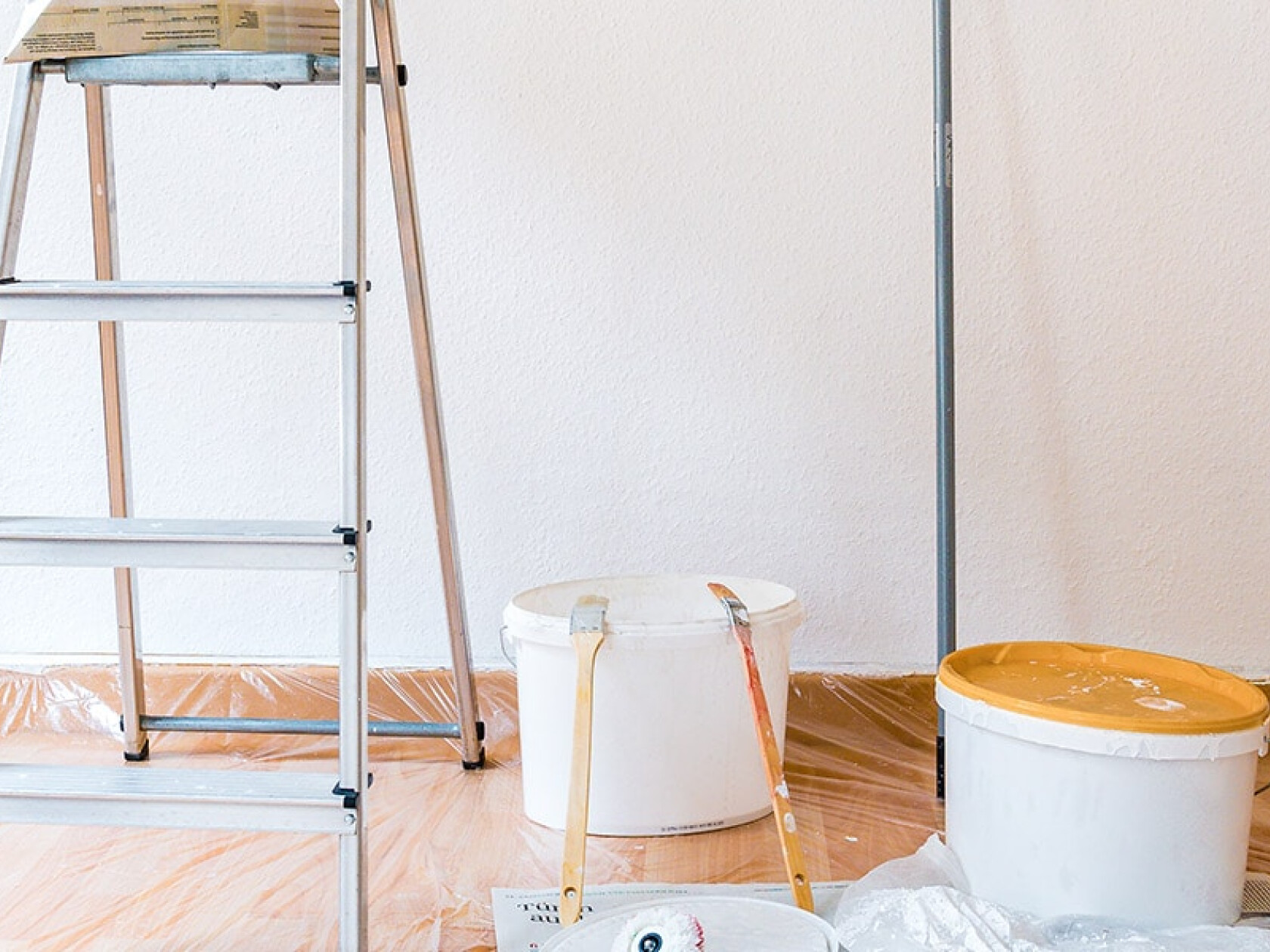 © Mattoff – stock.adobe.com