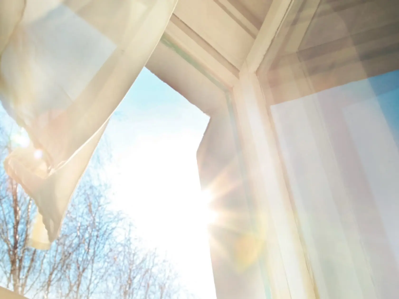 © adobeStock/Bonsales