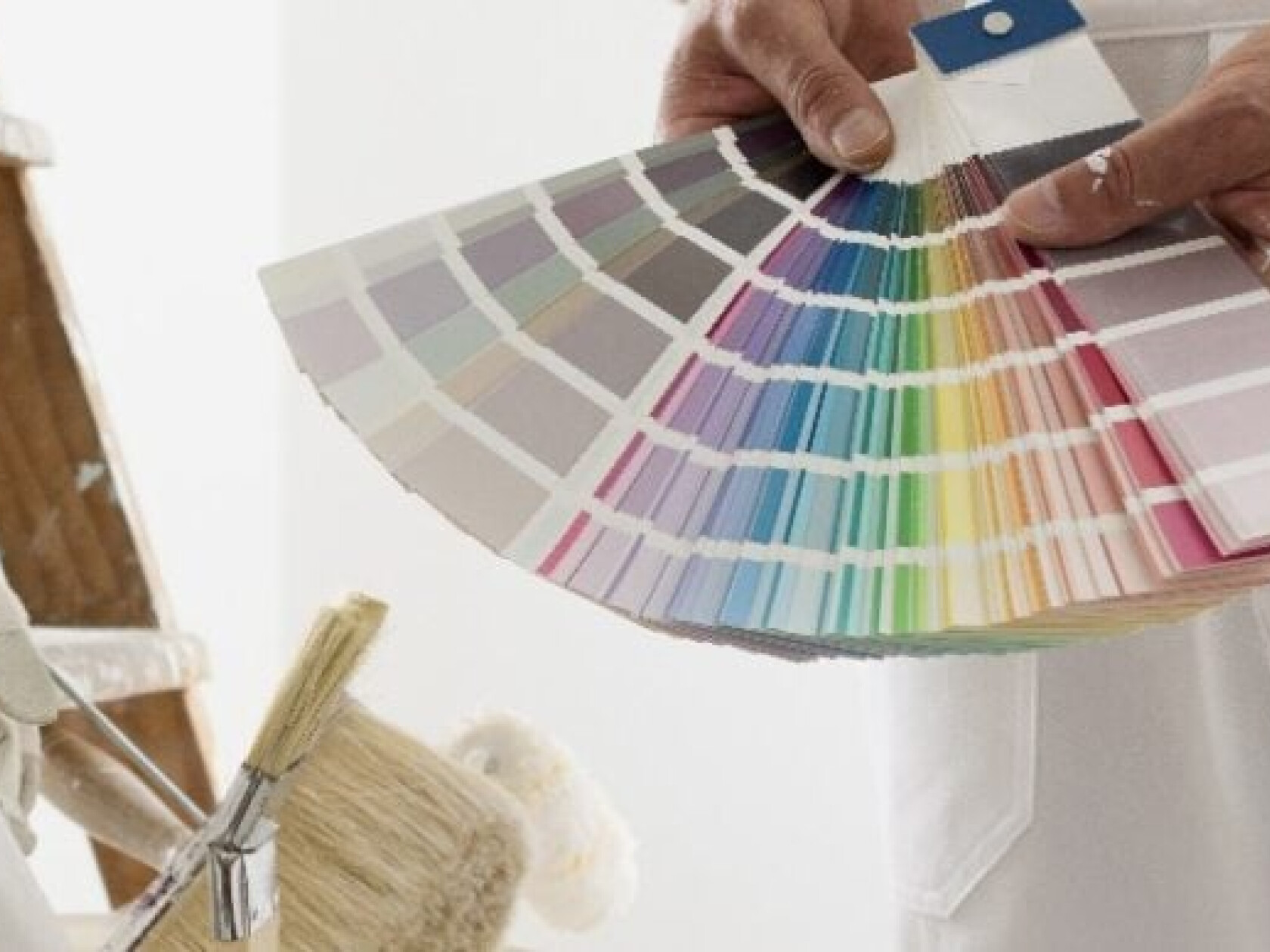 amedeoemaja – stock.adobe.com