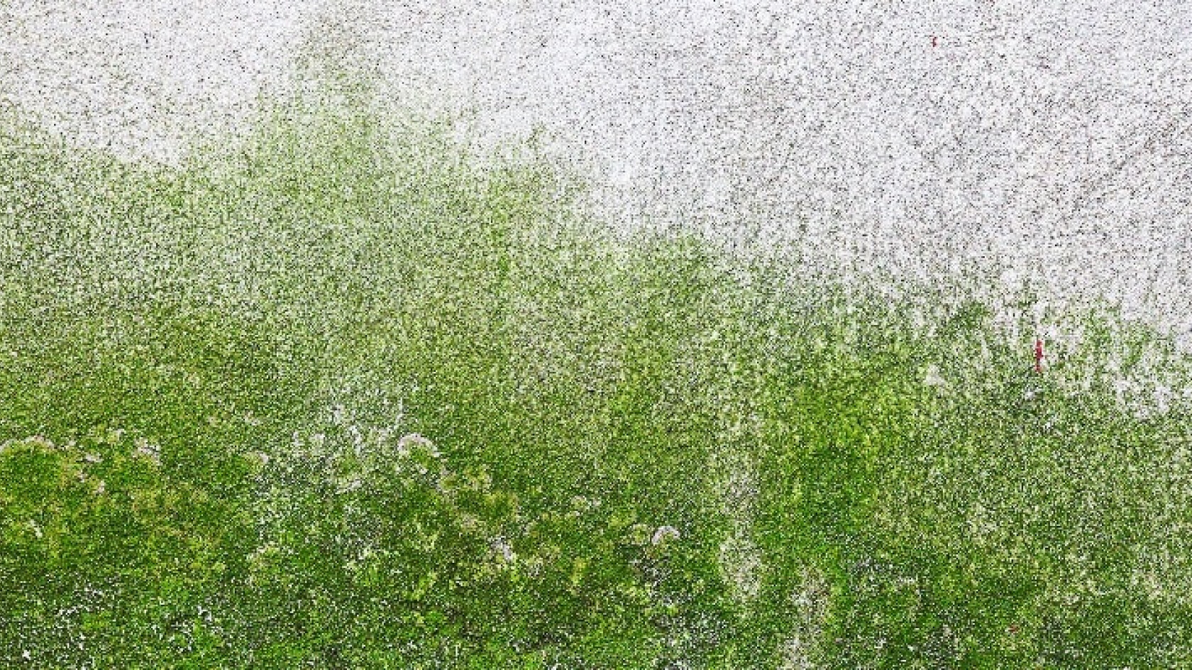 taviphoto – stock.adobe.com