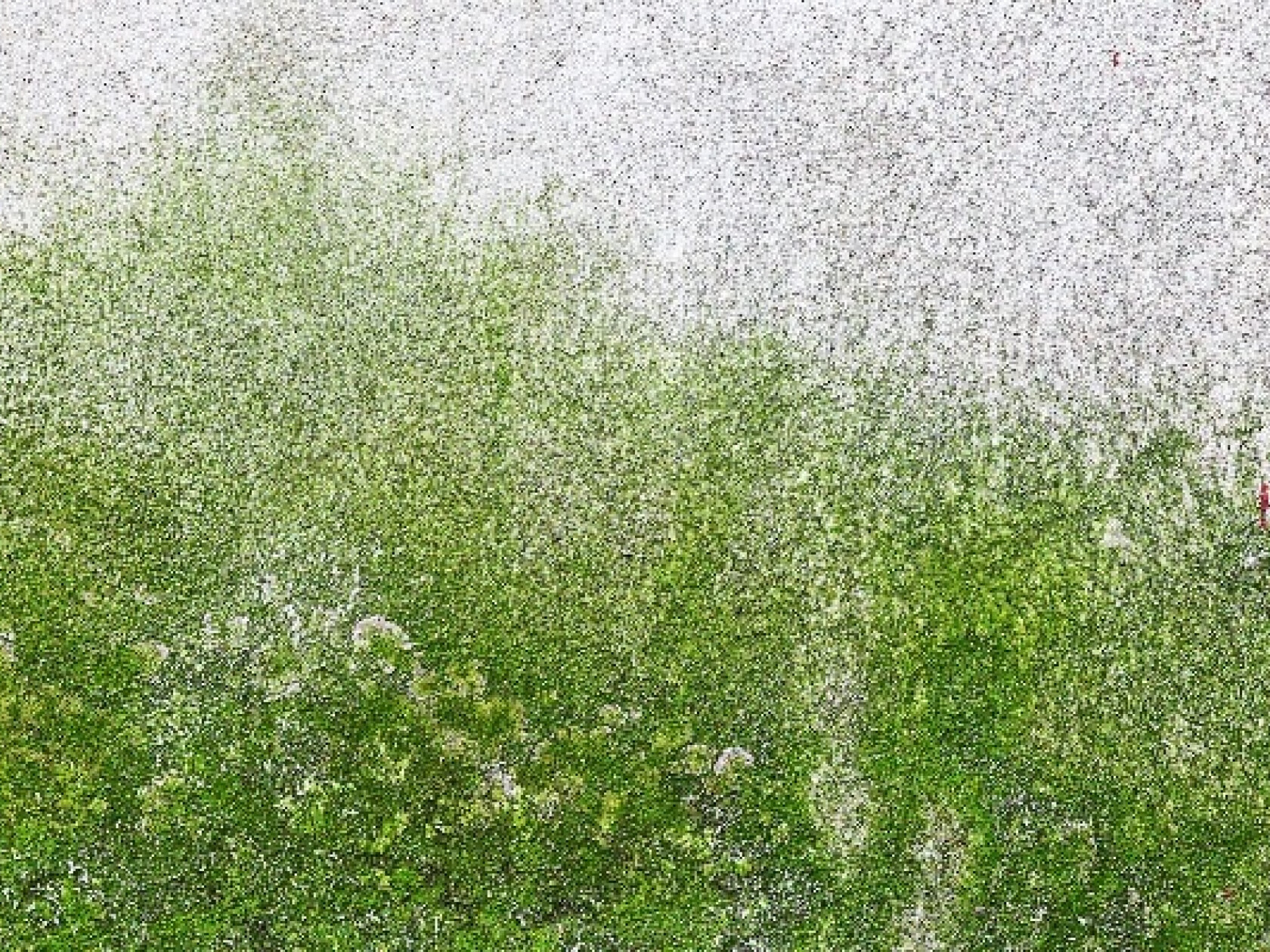 taviphoto – stock.adobe.com