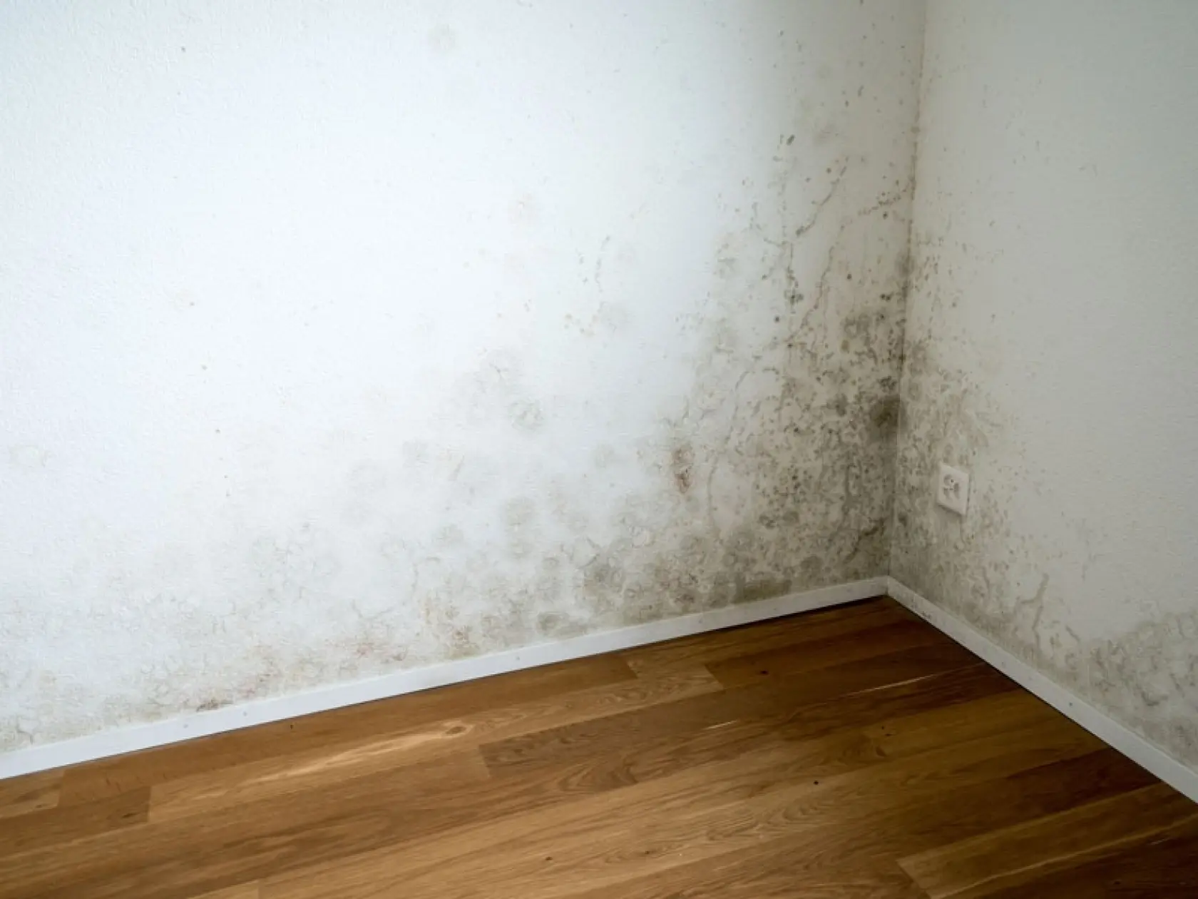 © adobeStock/makasana photo