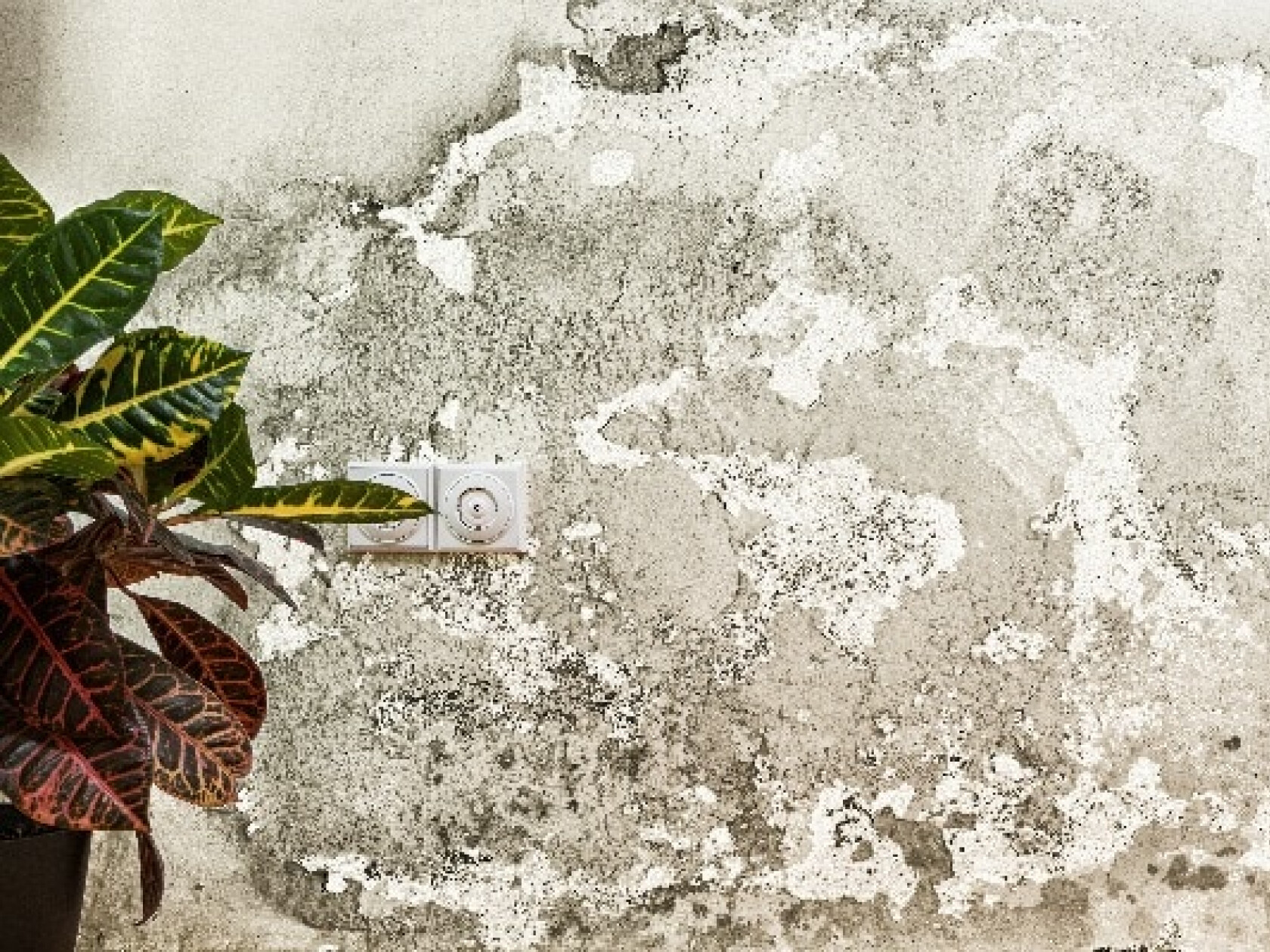 wabeno – stock.adobe.com