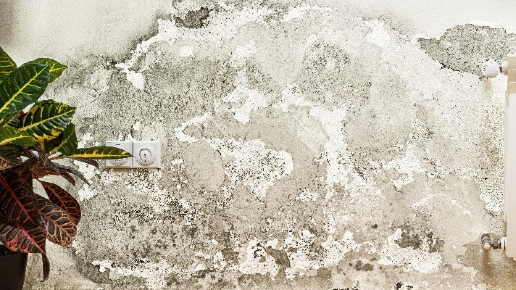 wabeno – stock.adobe.com