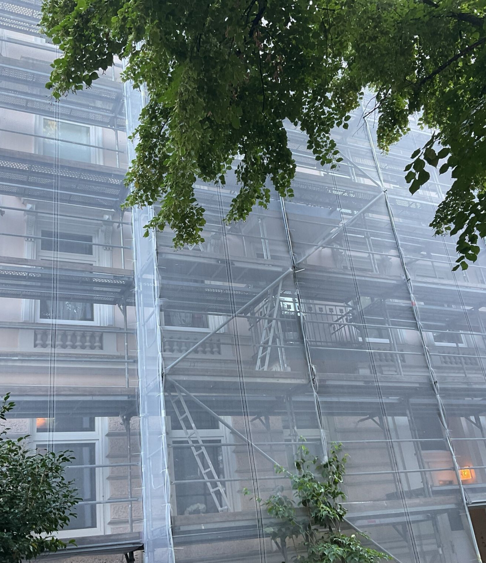 Mehrstöckiges Wohngebäude, von Metallgerüst und halbtransparentem Schutznetz umgeben; Fenster, Balkone und Leitern durch das Netz sichtbar, große grüne Baumäste ragen vom oberen Bildrand hinein.