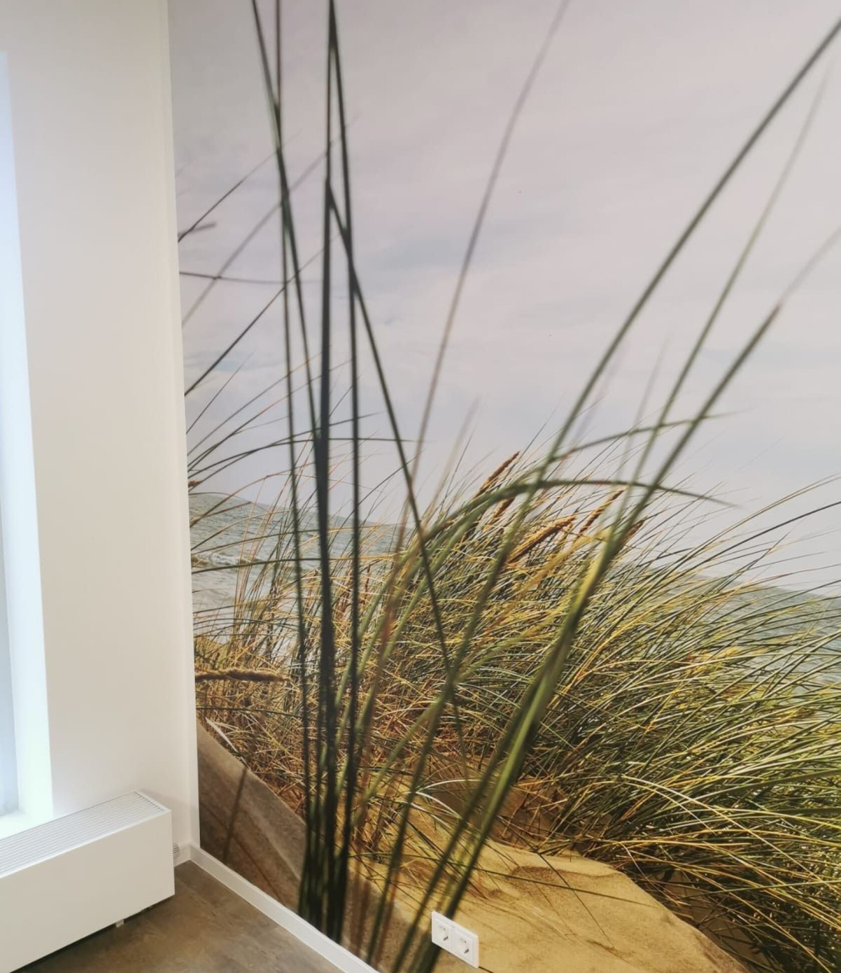 Großformatiges Dünengrasmotiv an Wand – hohe, dünne Halme ragen schräg nach oben; Innenraumecke mit hellem Fußboden, Heizkörper links unten und Steckdose an der Wand.