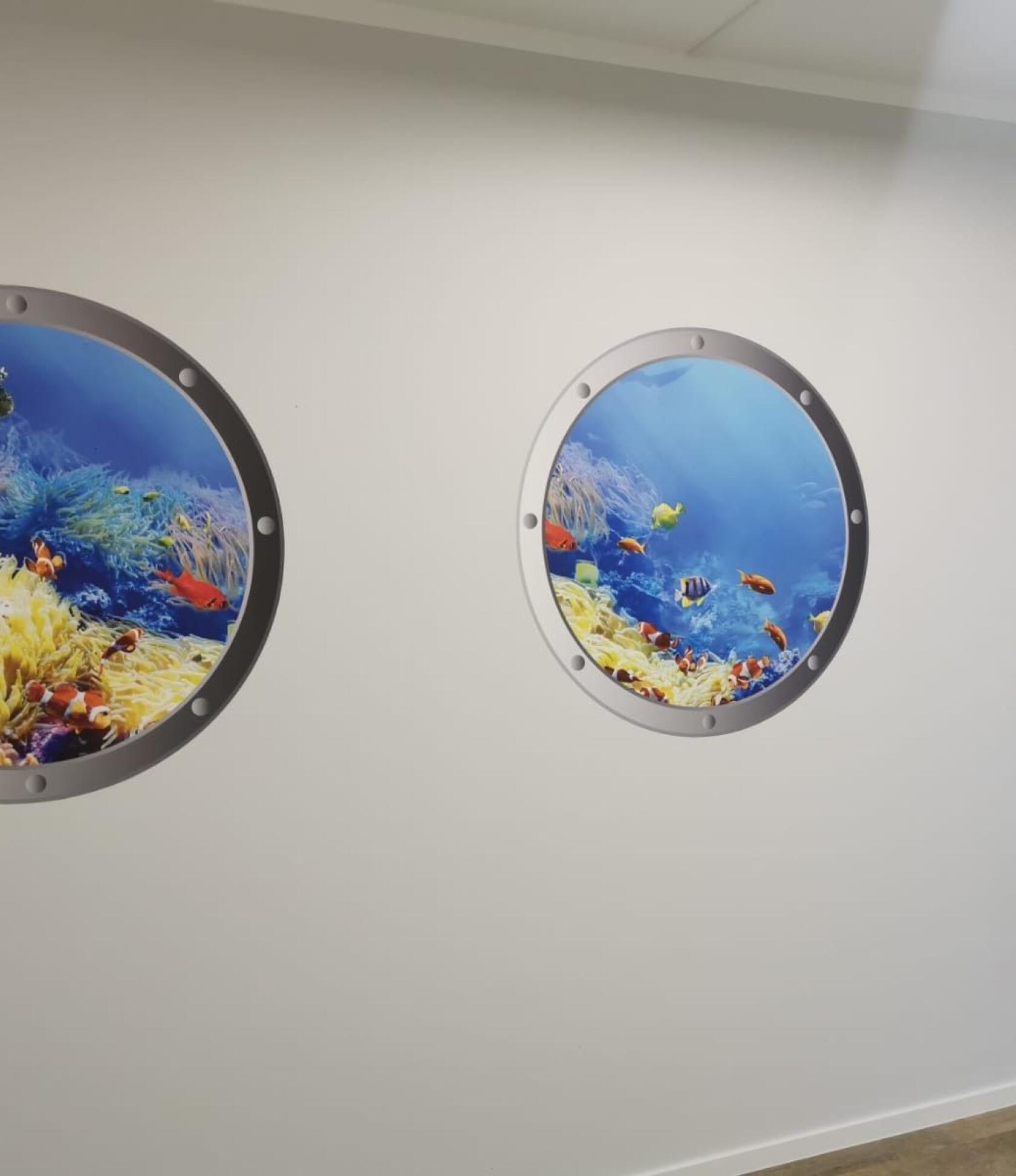 Zwei runde Bullaugen-Aufkleber, links teilweise angeschnitten, zeigen bunte Korallen und mehrere Schwärme tropischer Fische an einer weißen Innenwand mit Fußleiste.