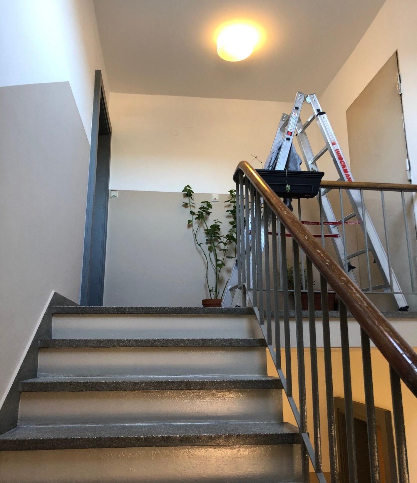 Treppenaufgang mit fünf grauen Stufen, der zu einem oberen Absatz führt; eine aufgestellte Aluminiumleiter lehnt am Geländer, eine hohe Topfpflanze mit Ranken steht an der Wand unter einer Deckenlampe.
